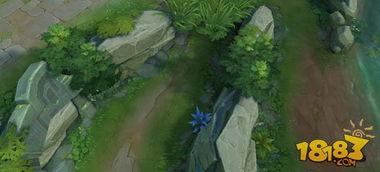 王者植物最新爆料,神秘植物登场，生态平衡再升级