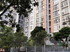 清城房产最新爆料,揭秘神秘豪宅背后的惊人真相！”