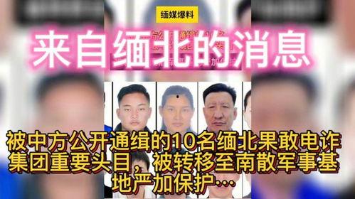 缅北最新爆料消息今天视频,揭秘神秘势力动态